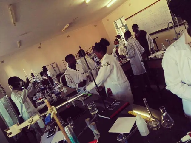 Practical work in the science laboratory